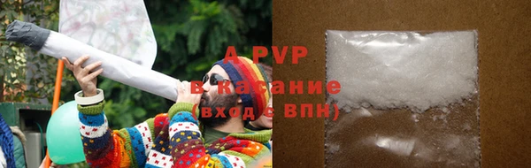 стаф Бугульма
