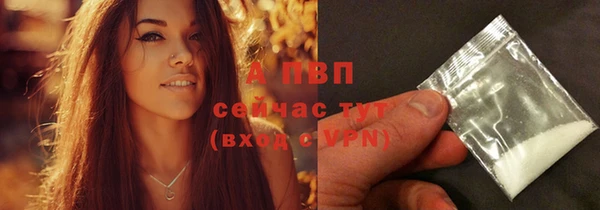 гидра Снежинск