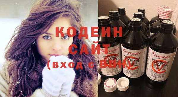 шишки Бородино