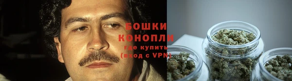 шишки Бородино