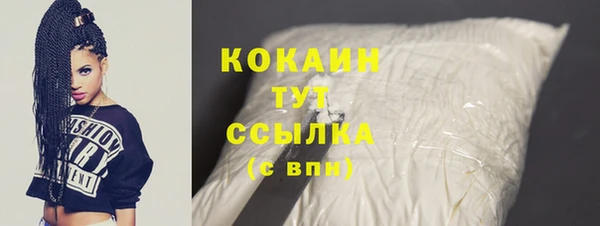 шишки Бородино