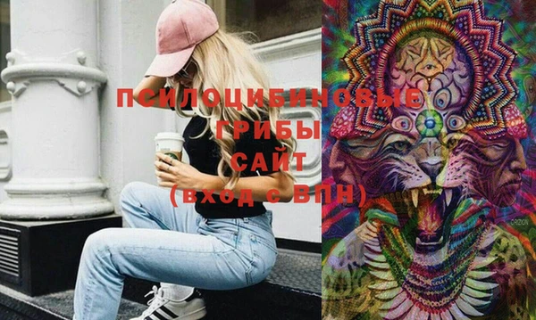 шишки Бородино