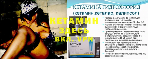 шишки Бородино