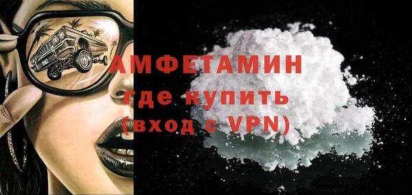 шишки Бородино