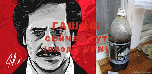 шишки Бородино