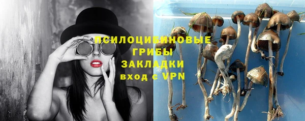 стаф Бугульма