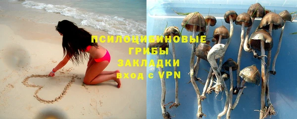 МДМА Снежногорск