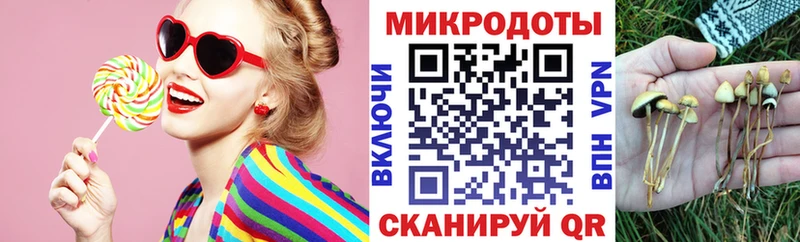 Галлюциногенные грибы мицелий  купить закладку  Новосокольники 